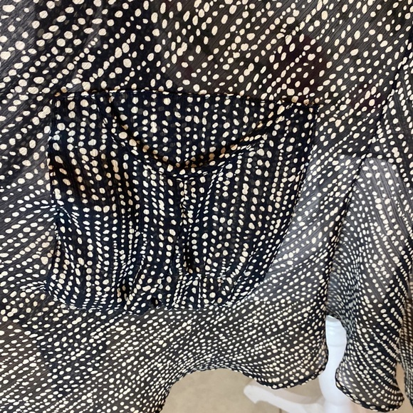 Franne Golde Transparent Speckled Tunic - Picture 5 of 7